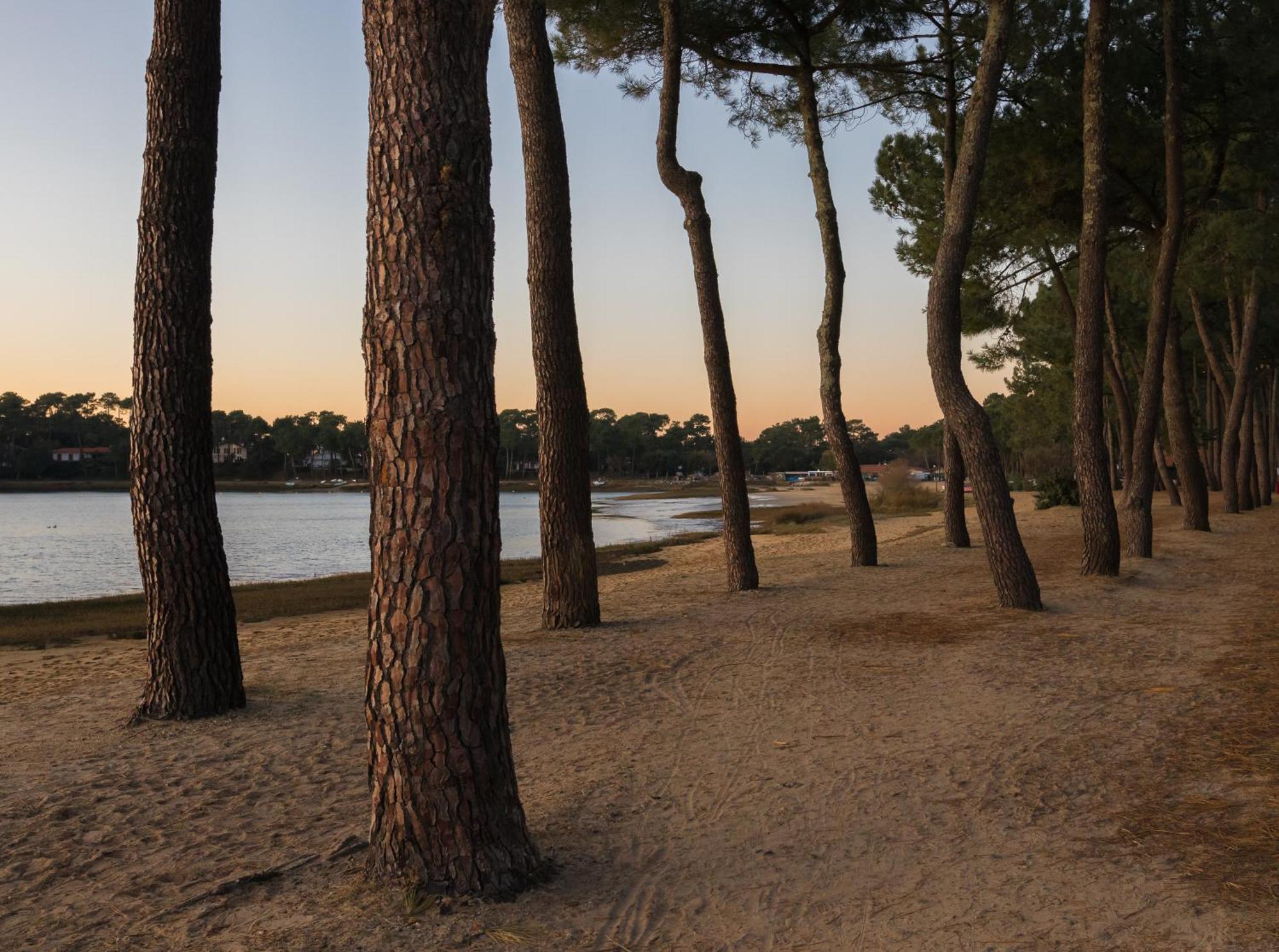 Résidence Hôtelière les Acanthes Soorts-Hossegor Exterior foto